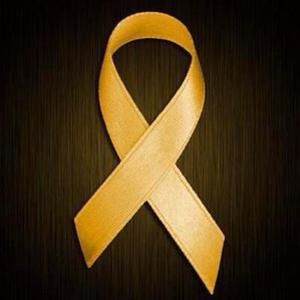 Meet your Posher, Lilly